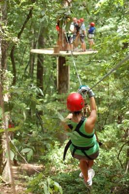 Zipping through the forest