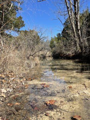 Balcones Canyonlands Preserve