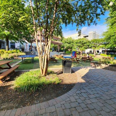 Huge outdoor picnic area.