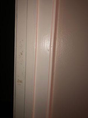 Peeling paint from door OVER PAINTED. So many layers of paint