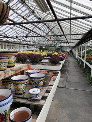 Interior of greenhouse