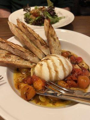 Burrata appetizer special