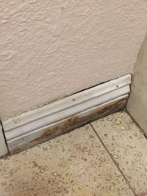 Trim between bathroom door & tub. Ew.