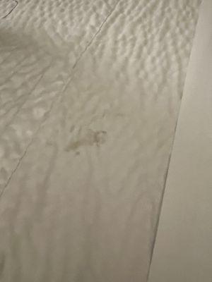 Nasty brown stain on bed spread.