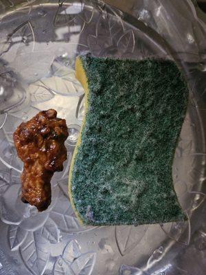 One of their wings next to a normal sized sponge for cleaning dishes lol! There's no meat on this.