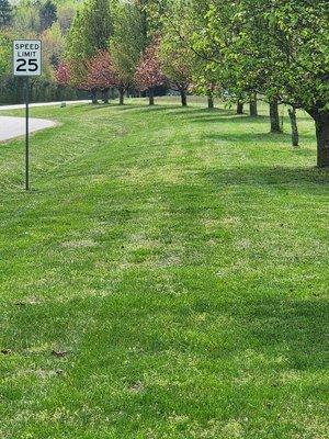 Main entrance into residential subdivision.