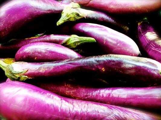 Japanese Eggplants