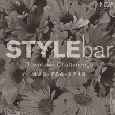 Style Bar