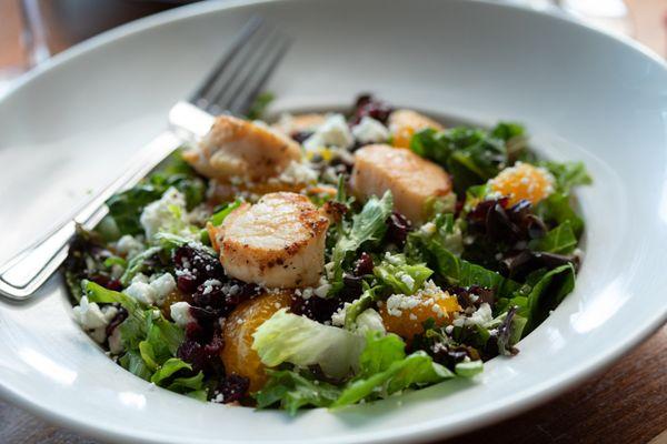 Seared Scallop Salad