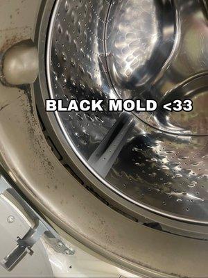 black mold