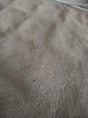 How the top of the bed cover looked