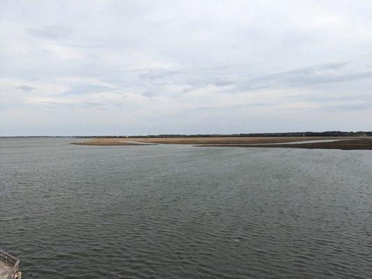 Henry Robinson Boardwalk & Observation Tower