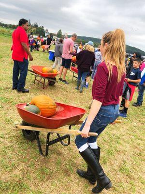 Pick your own pumpkins