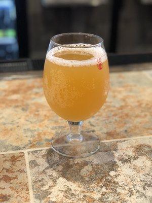 Blood Orange Beer