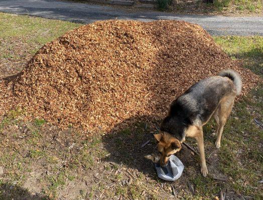 Scotts Valley Rock and Landscape Supplies