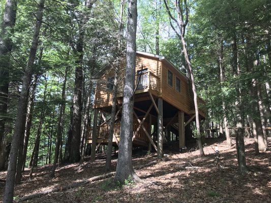 One of the two treehouse cabins available.