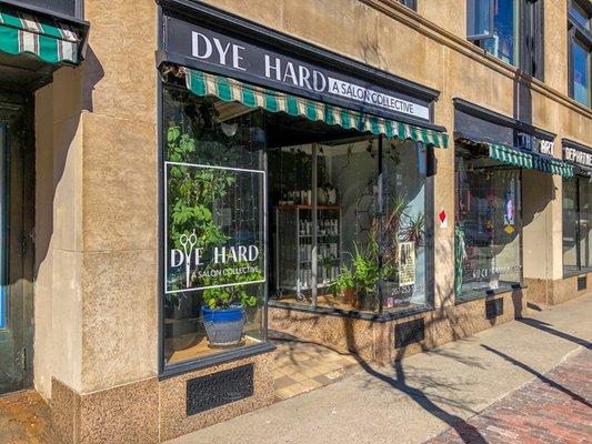 Dye Hard: A Salon Collective