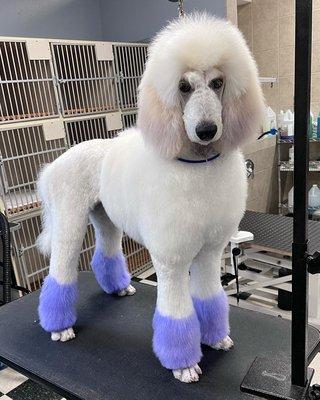 Zoe loves her purple feet and one of a kind haircut!