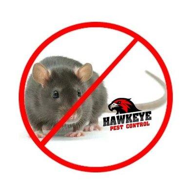 At Hawkeye Pest Control, your family's peace of mind is important to us. Rat and mouse infiltration of a home or business is frightening and