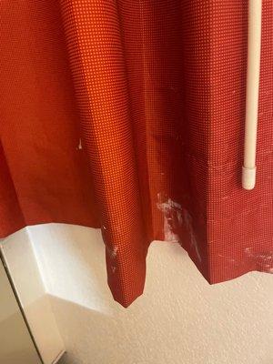 whatever the fuck this is on the curtains.