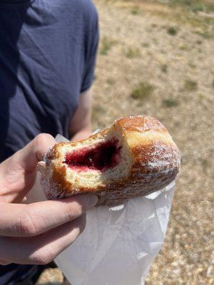 Powdered donut filled with jelly