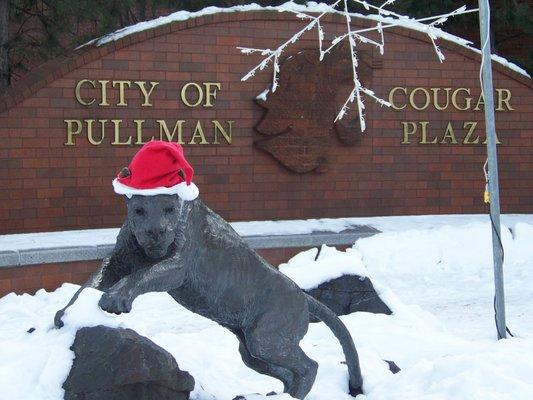 Happy Holidays from Pullman, WA and the home of Washington State University