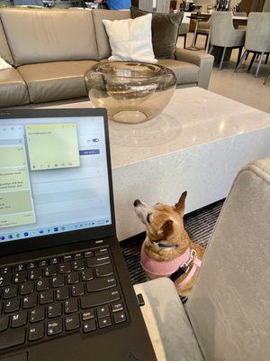 Working remotely from the lobby