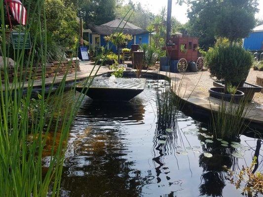 Water Garden