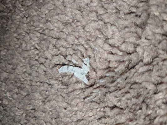 We have little paint drips like this all over our carpet