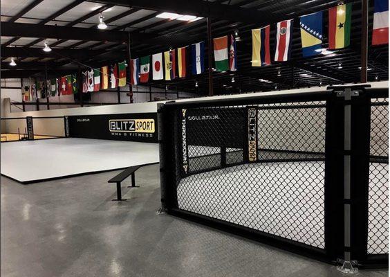 Blitz Sport MMA & Fitness | Premier MMA, Boxing, Kickboxing, No-Gi Jiu Jitsu, Wrestling, Strength & Conditioning training in Central Texas.