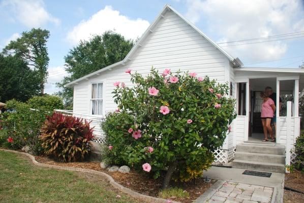 Cigar House, bordered by locally hybridized hibiscus