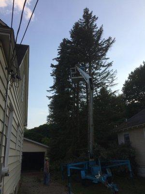 Tree Removal in Hudsonville, Michigan