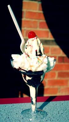 Frozen Yogurt Sundae