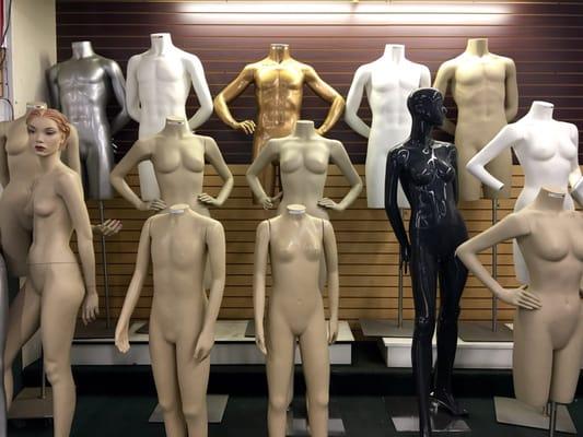 Manakins