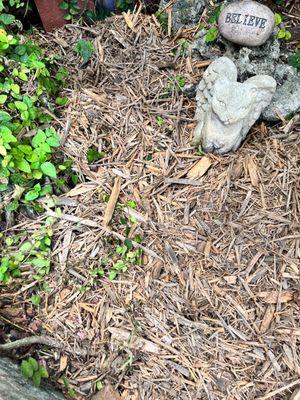 Left pic is the mulch I bought a few days ago. Right pic is the mulch I bought today. Both same brand.