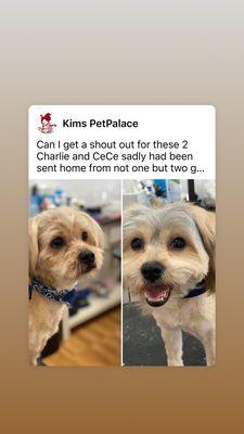 Kim’s Pet Palace