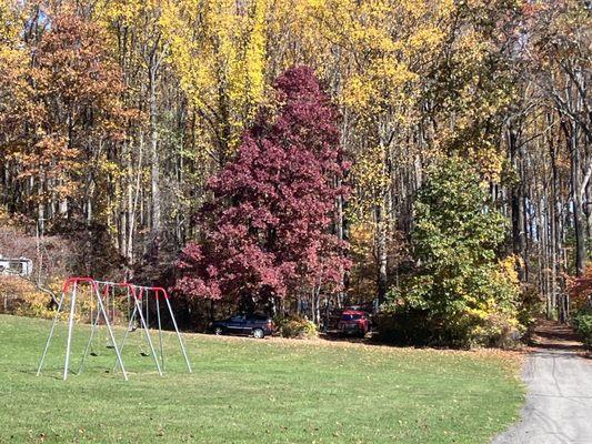 The glorious colors of fall. Plus a brand new swing set.