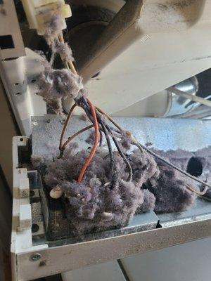 Its so important to get your dryers cleaned out! look at all that lint stuck in there!