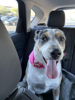 Happy girl  after I picked her up