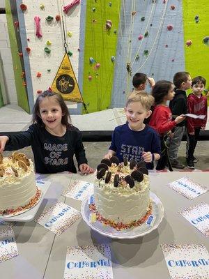 Twins birthday party