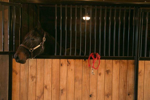 Equestrian Center at Oxford Treatment Center