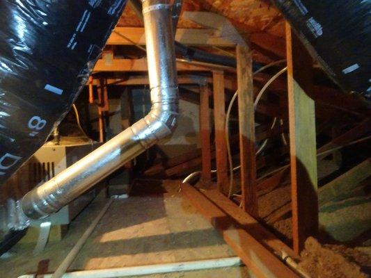 Attic and crawlspace inspections.