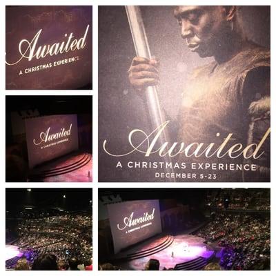 Awaited. The biblical story of the birth of Christ