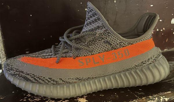 Reflective Beluga 350s