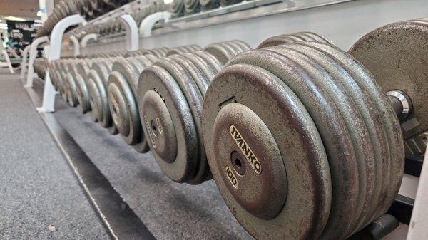 Dumbells up to 100 lbs