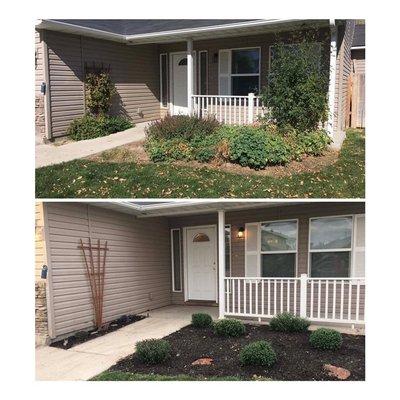 Removed all the old plants and weeds. Added new mulch and plants for a new look.