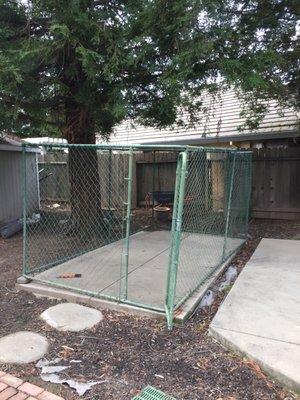 Before: Old dog kennel.