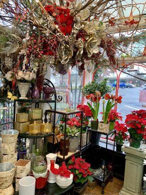 Inside the florist!