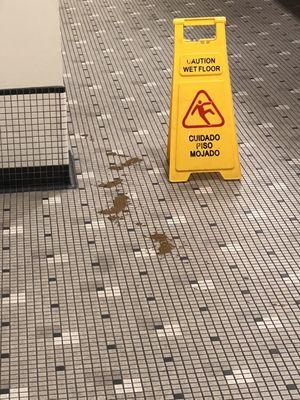 Yes that is FECES on the floor!! No they did not care.