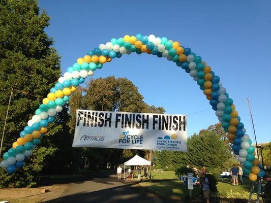 Finish Line at Montinore Vineyards